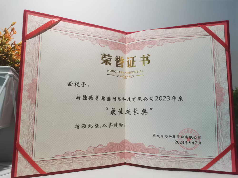 2026精选乌鲁木齐软件实施服务商哪家好？听听内行怎么说