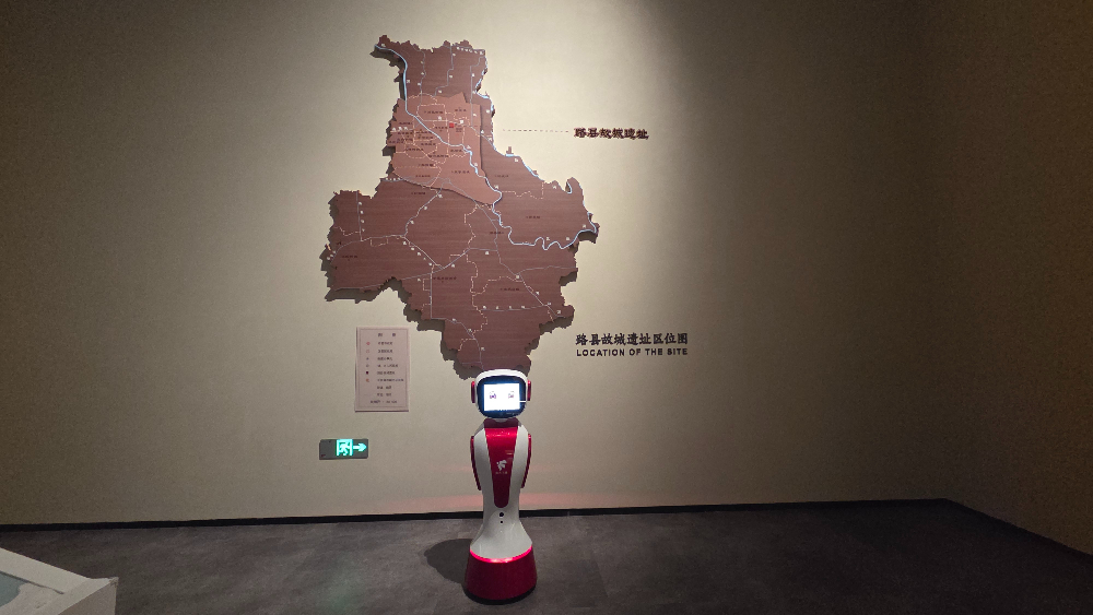 通州区具身机器人直销厂家怎么选？从技术实力到落地案例的...