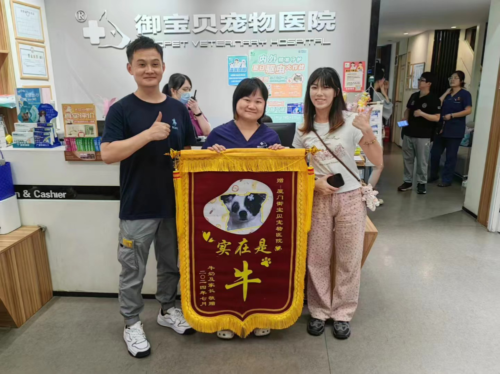 2026精选厦门靠谱的心脏检查宠物医院有哪些