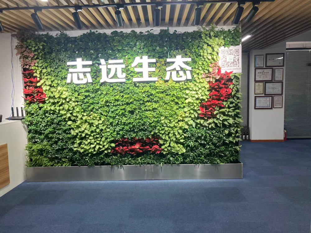 绿墙.jpg