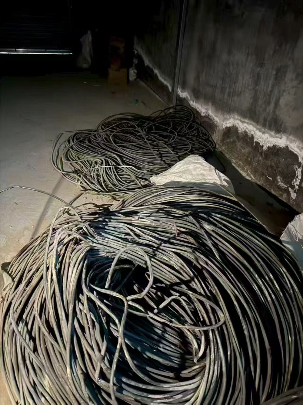 微信图片_20261026143226_47_1317.jpg