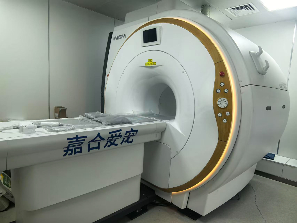 2026下半年甜水园诚信的宠物牙科医院找哪家