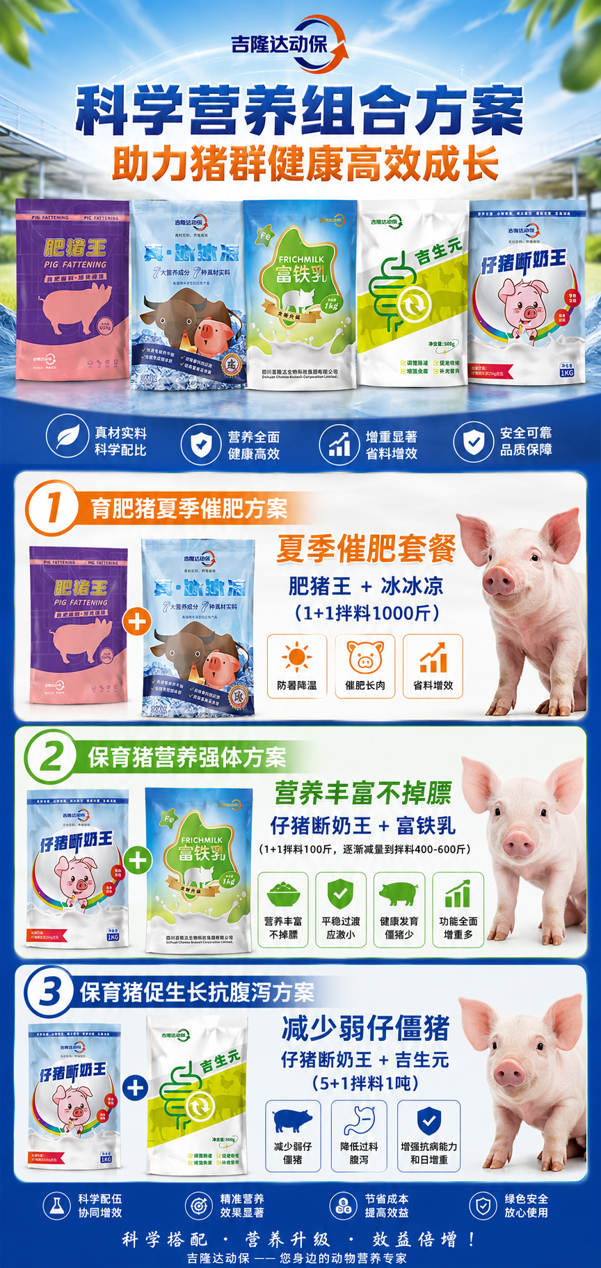 仔猪肥猪.png