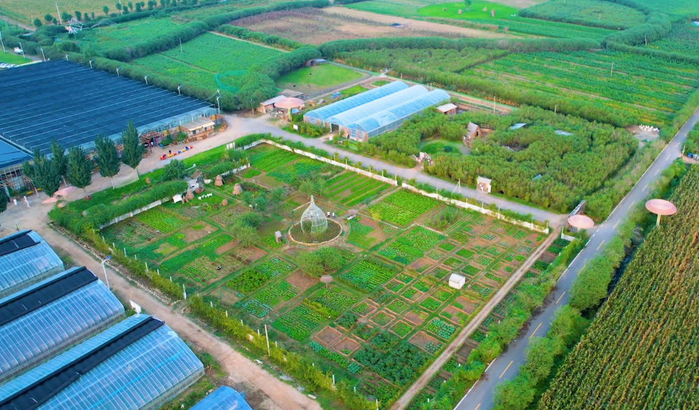 临沂劳动教育空间怎么选？这份清单值得收藏