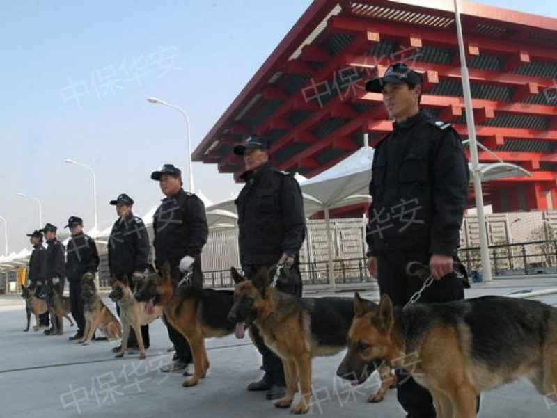 特种犬服务.jpg