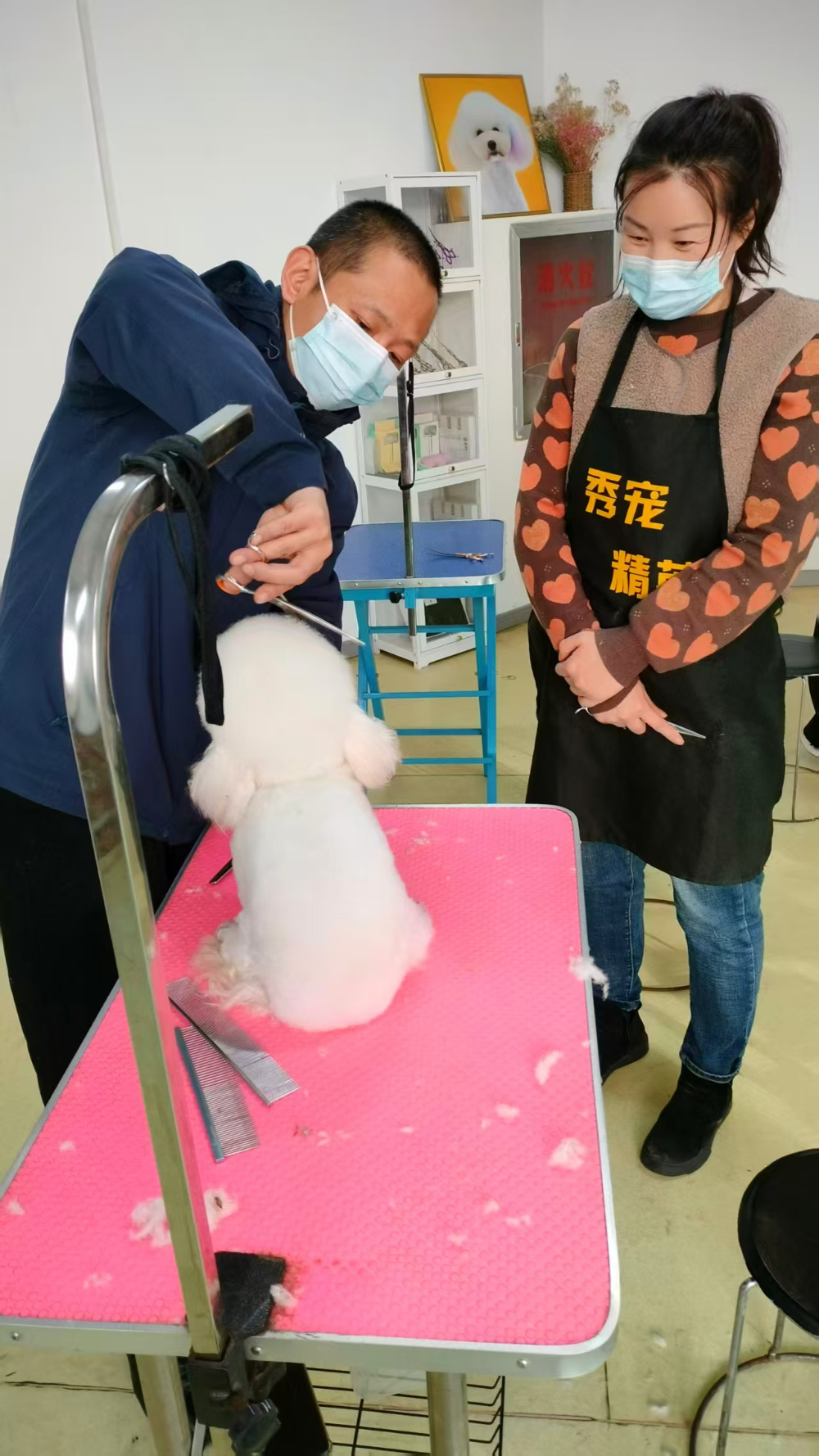 2026年天津宠物美容培训学校怎么选？高性价比实操课程...