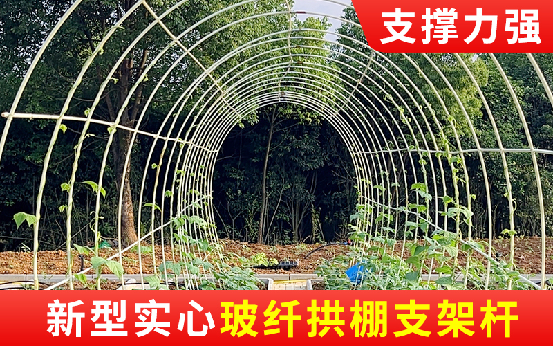 实心38.jpg