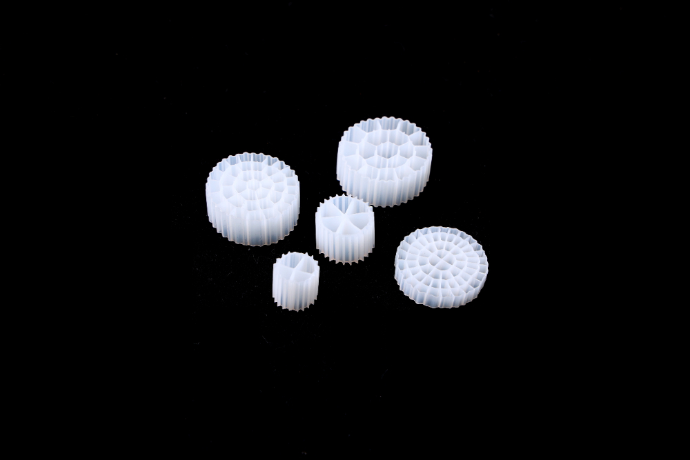 CO3A7944.JPG