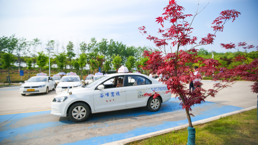 南京零基础学车标准化训练场选择参考：聚焦区域服务与实训条件