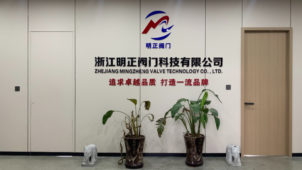 2026甄选大口径蝶阀厂家指南，可靠之选哪家强