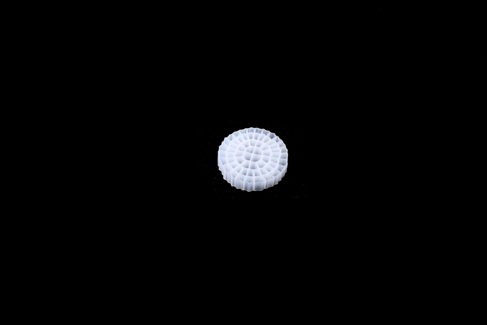 CO3A7945.JPG