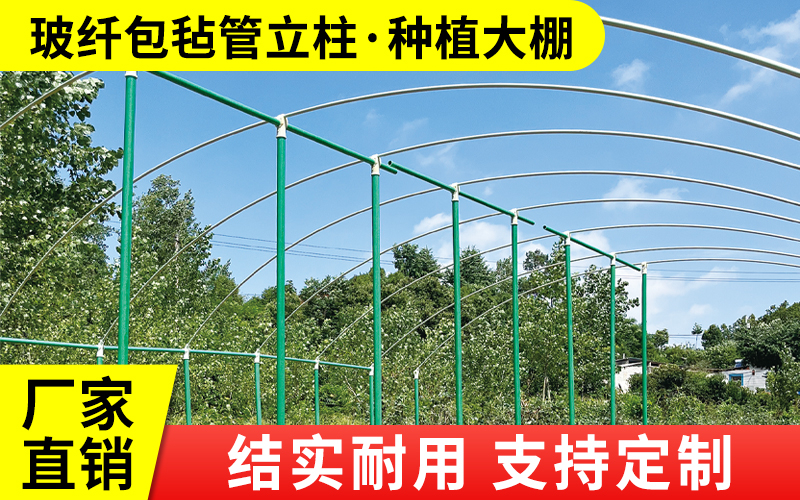 包毡8.jpg