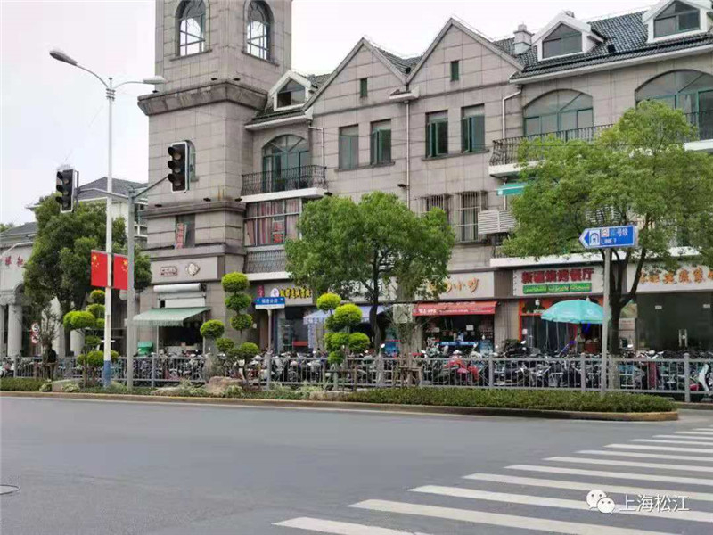 2026年上海苗木养护工程推荐：专业实力与本地化服务如何选