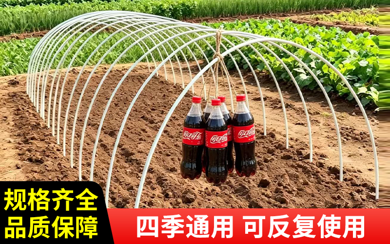 实心19.jpg