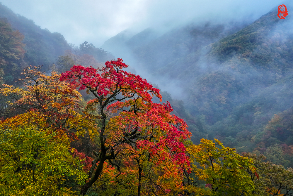 DJI_20241017165506_0071_D_DU.jpg