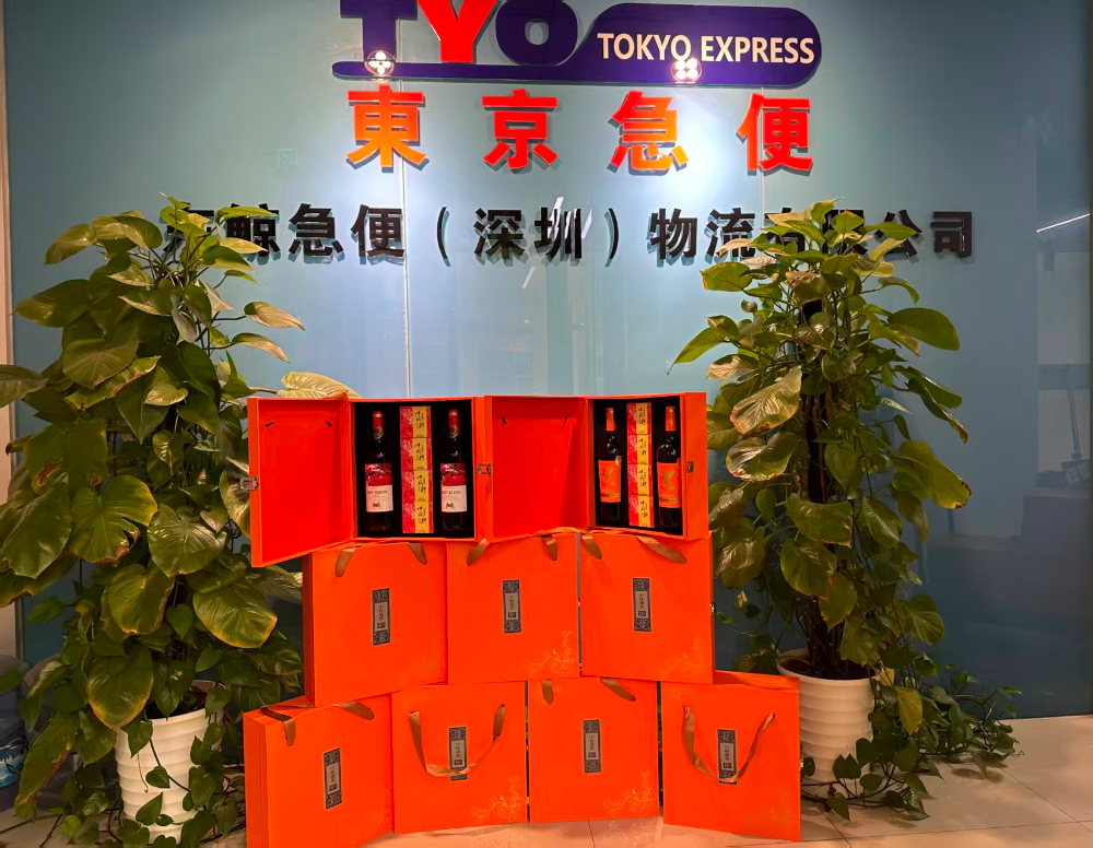 深圳日本海运货代公司选择指南：从实操角度拆解关键考量