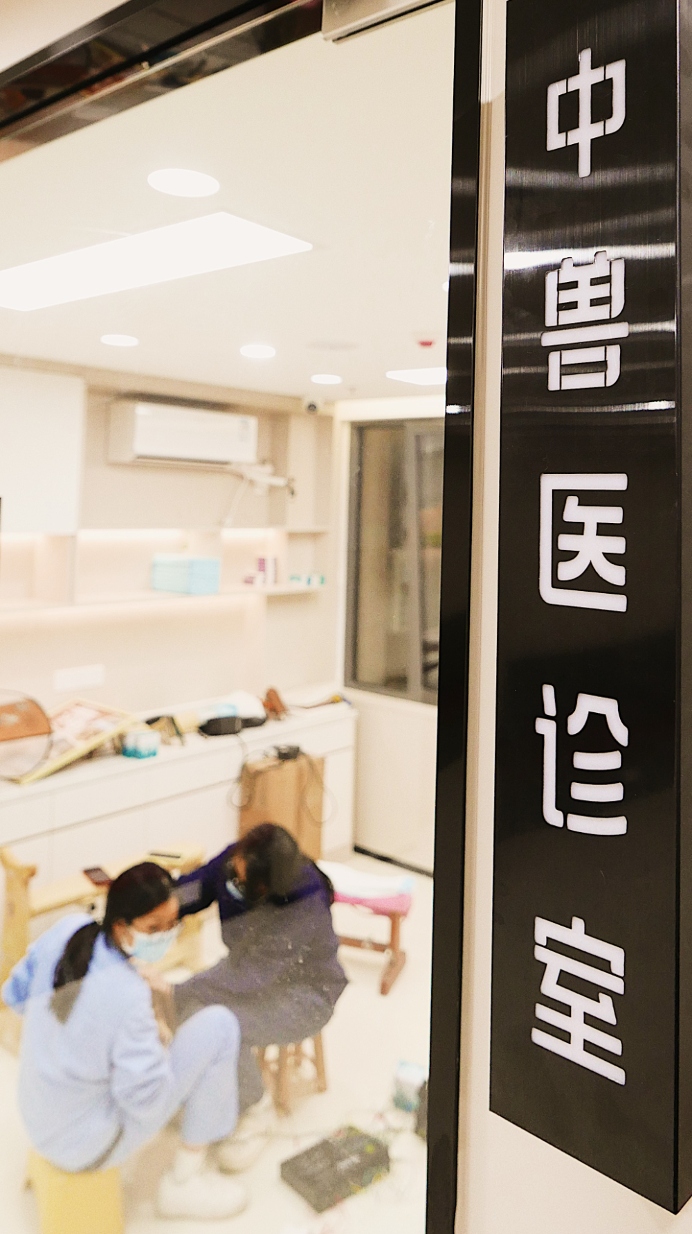 2026年底厦门心脏检查动物医院哪家强，心脏专科检查与...