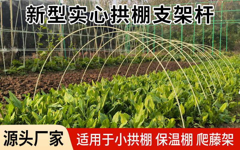 实心18.jpg