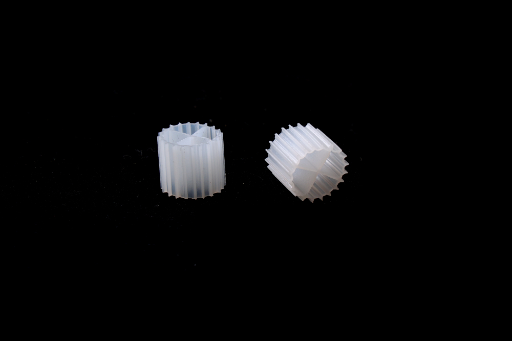 CO3A7935.JPG
