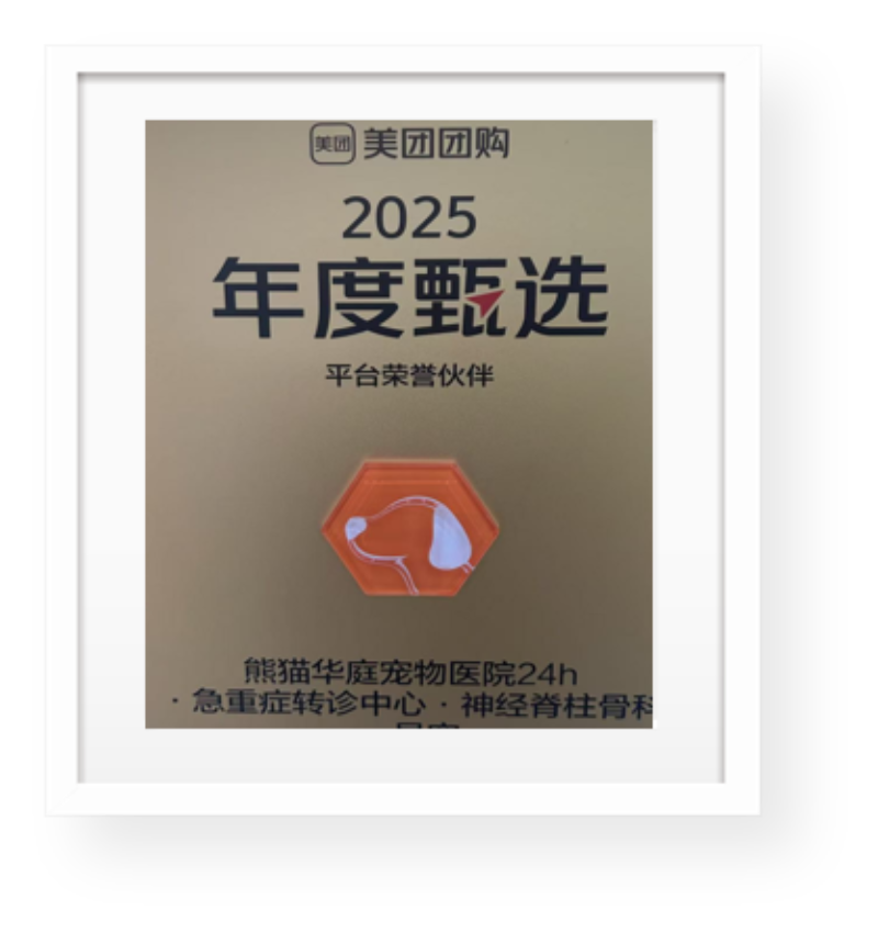 大众、美团年度甄选.png