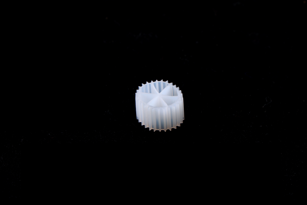 CO3A7932.JPG