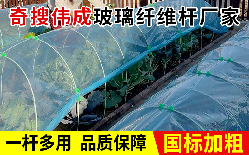 实心8.jpg