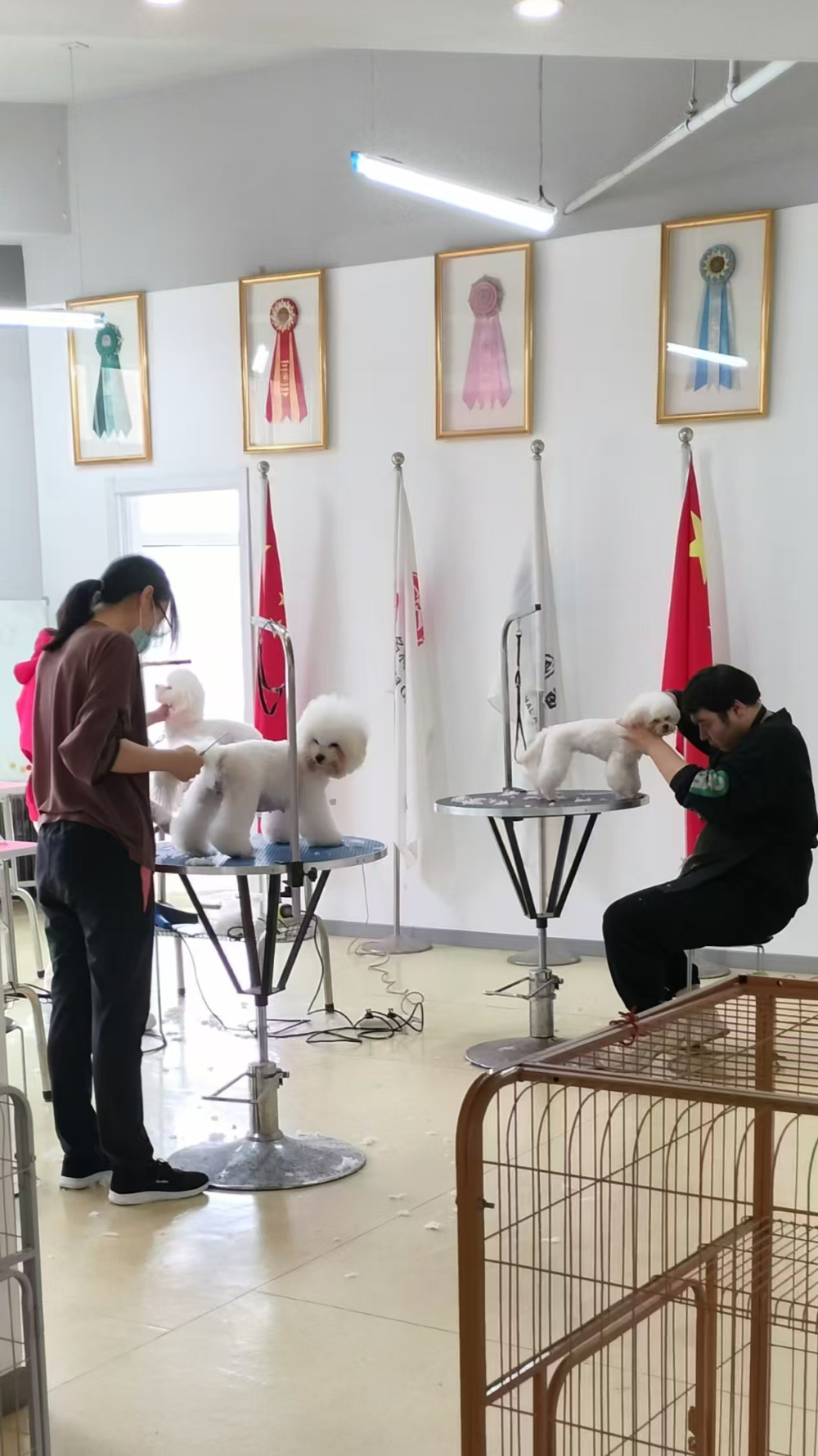 微信图片_20251117155532_458_119.jpg