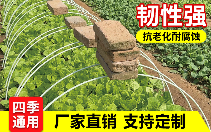 实心1.jpg