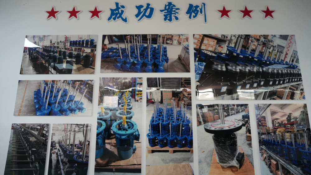 DSC04181.JPG