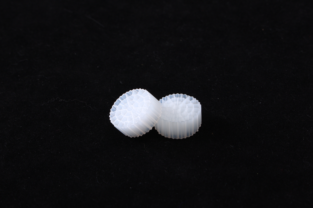 CO3A7925.JPG