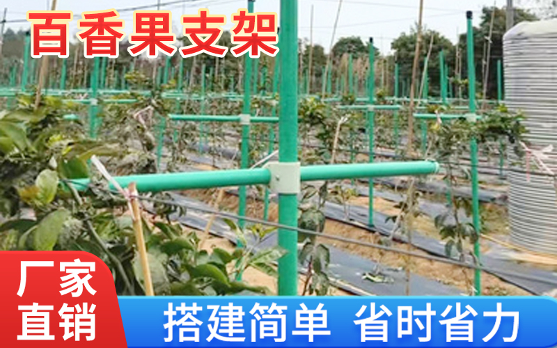 包毡23.jpg