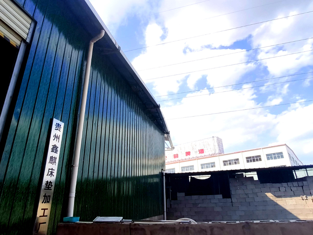 54b4307e40573e7a4b0cc4487a9de0a3_origin(1)_优化.jpg
