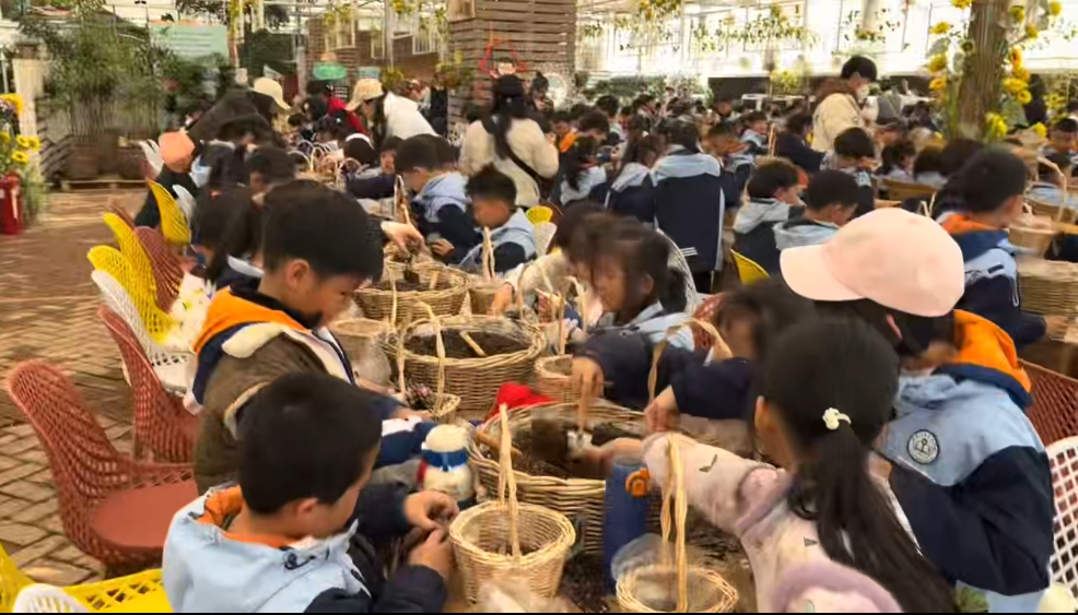 2026年临沂市小众宝藏的闺蜜出游基地，哪家更值得信赖？