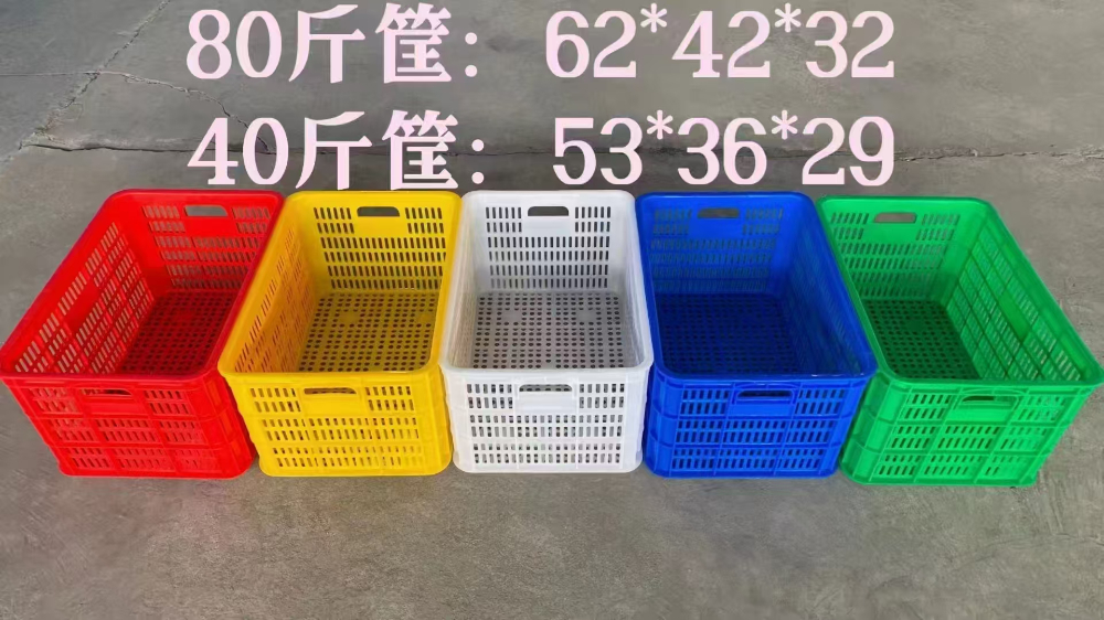 4b8bfce7-a253-4fb6-980c-08b9a00f959a.jpg