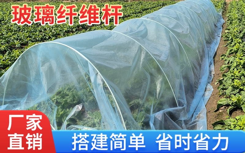 实心10.jpg