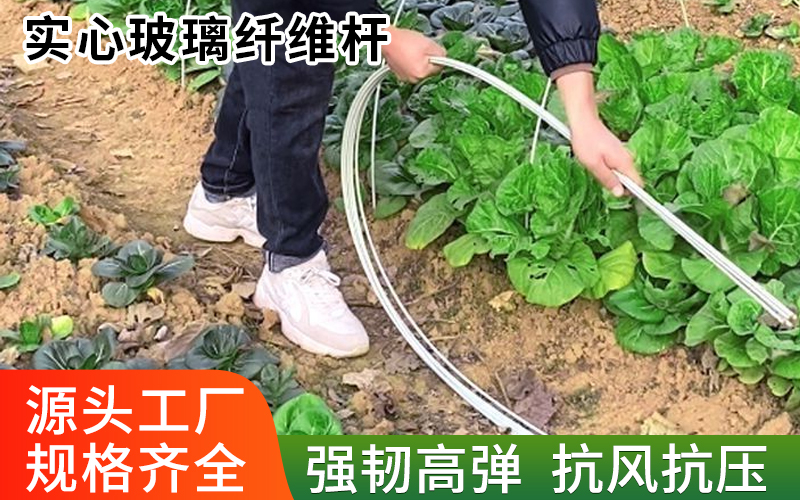 实心12.jpg