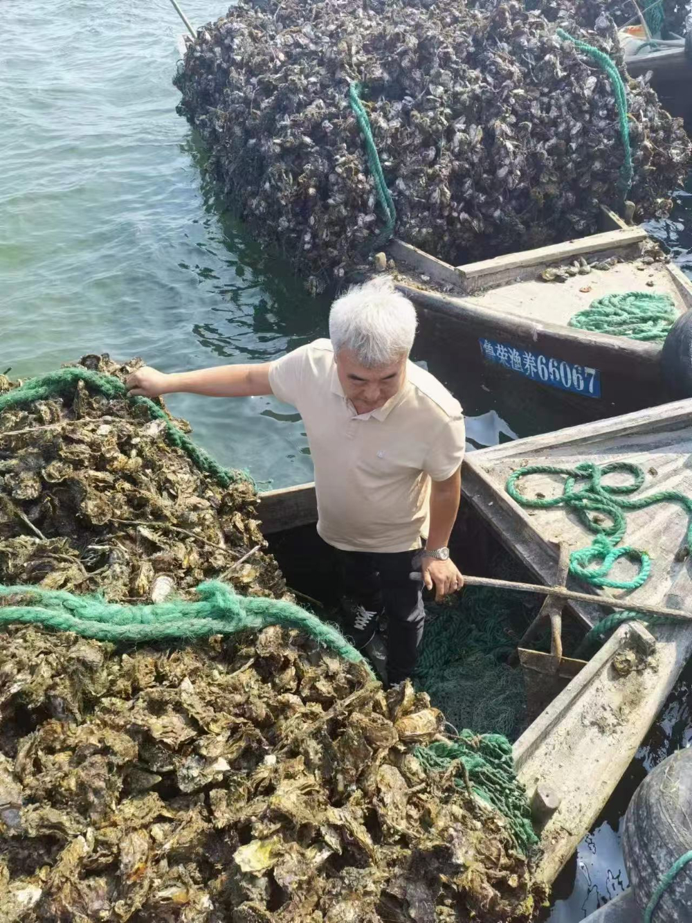 餐饮牡蛎源头直采指南：如何优选优质供货商