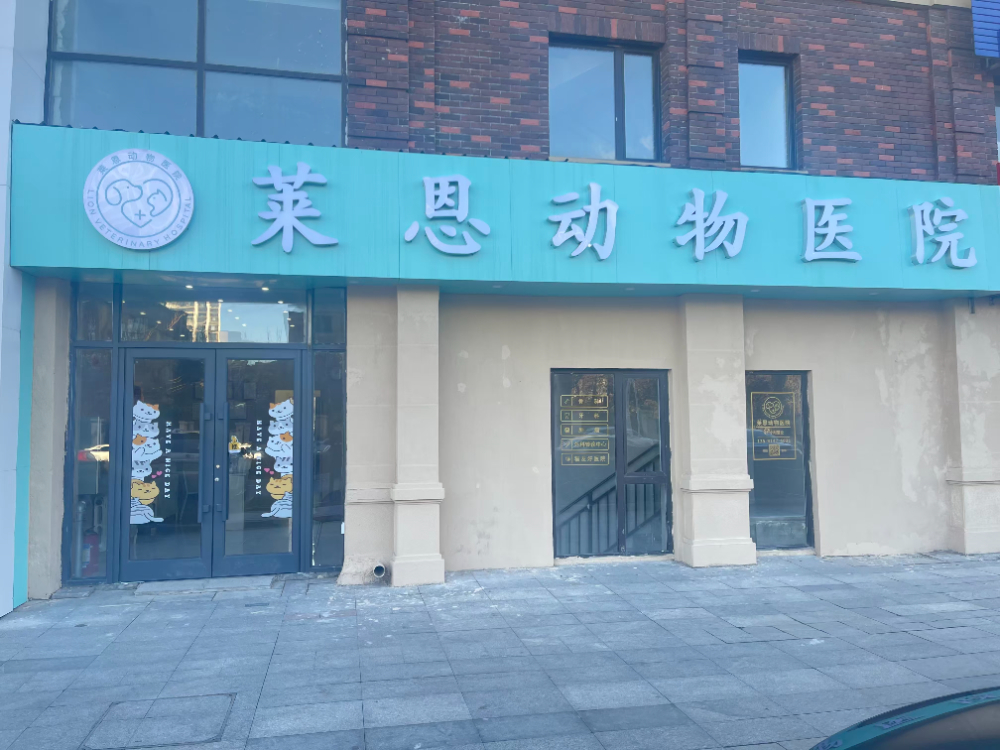 2026甄选沈北新区宠物生病诊疗中心：专业救治让毛孩子少受罪
