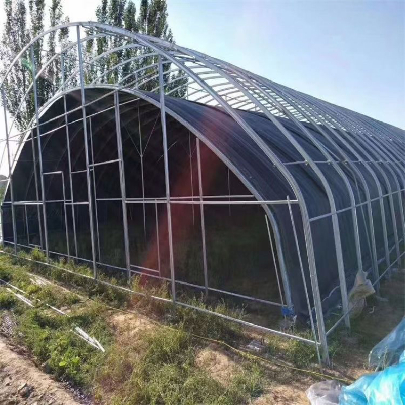 温室大棚管厂商推荐：天津市瑞德通钢铁采购参考