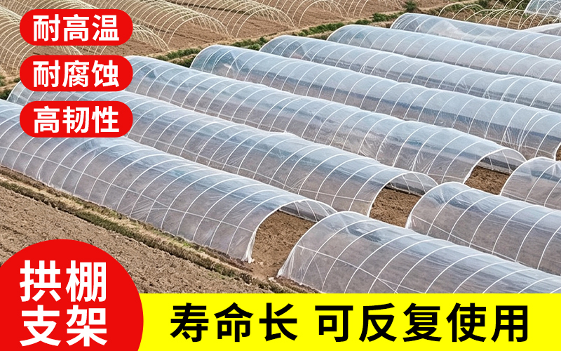 实心2.jpg