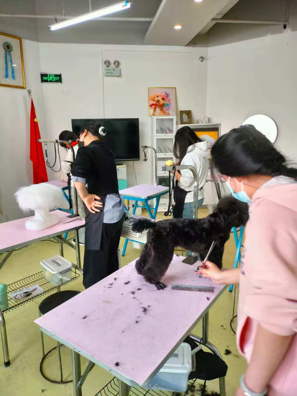 微信图片_20251117155551_461_119.jpg