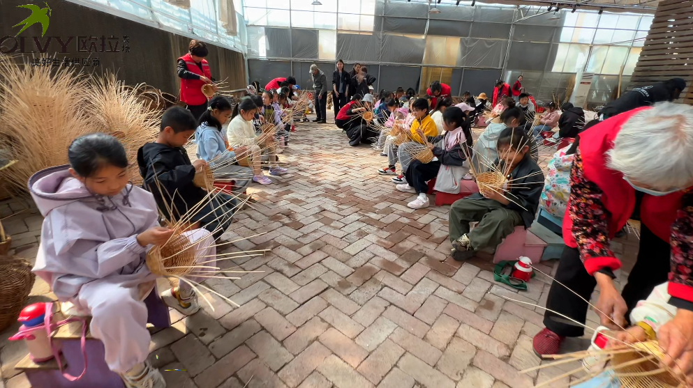 临沂农场农作物体验去哪家：2026精选乡村田园目的地参考