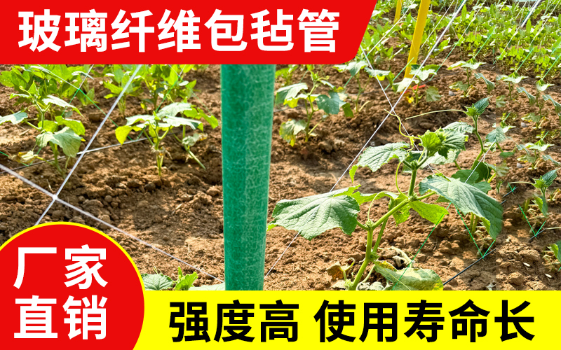包毡14.jpg