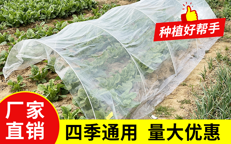 实心55.jpg