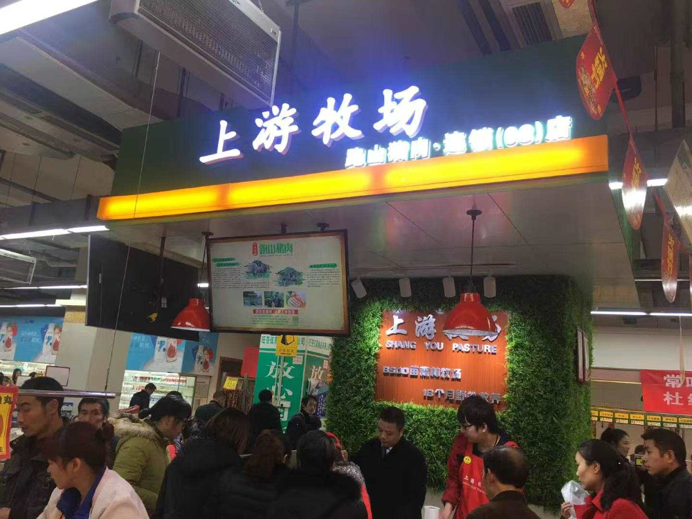 四川林下散养的跑山母猪养殖场推荐：旺苍上游牧场引种分析