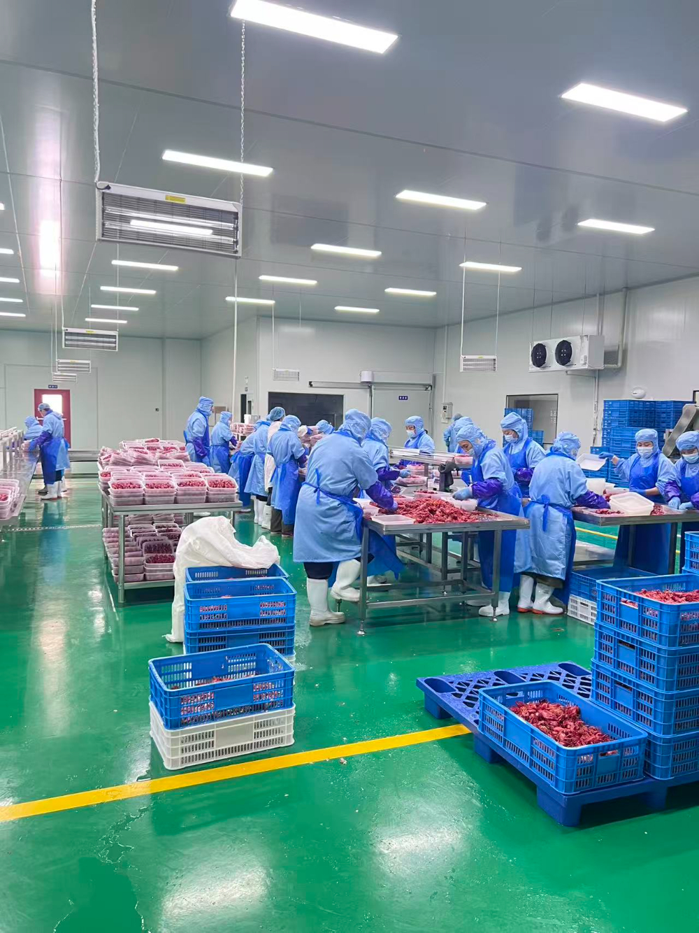 生产车间2.jpg