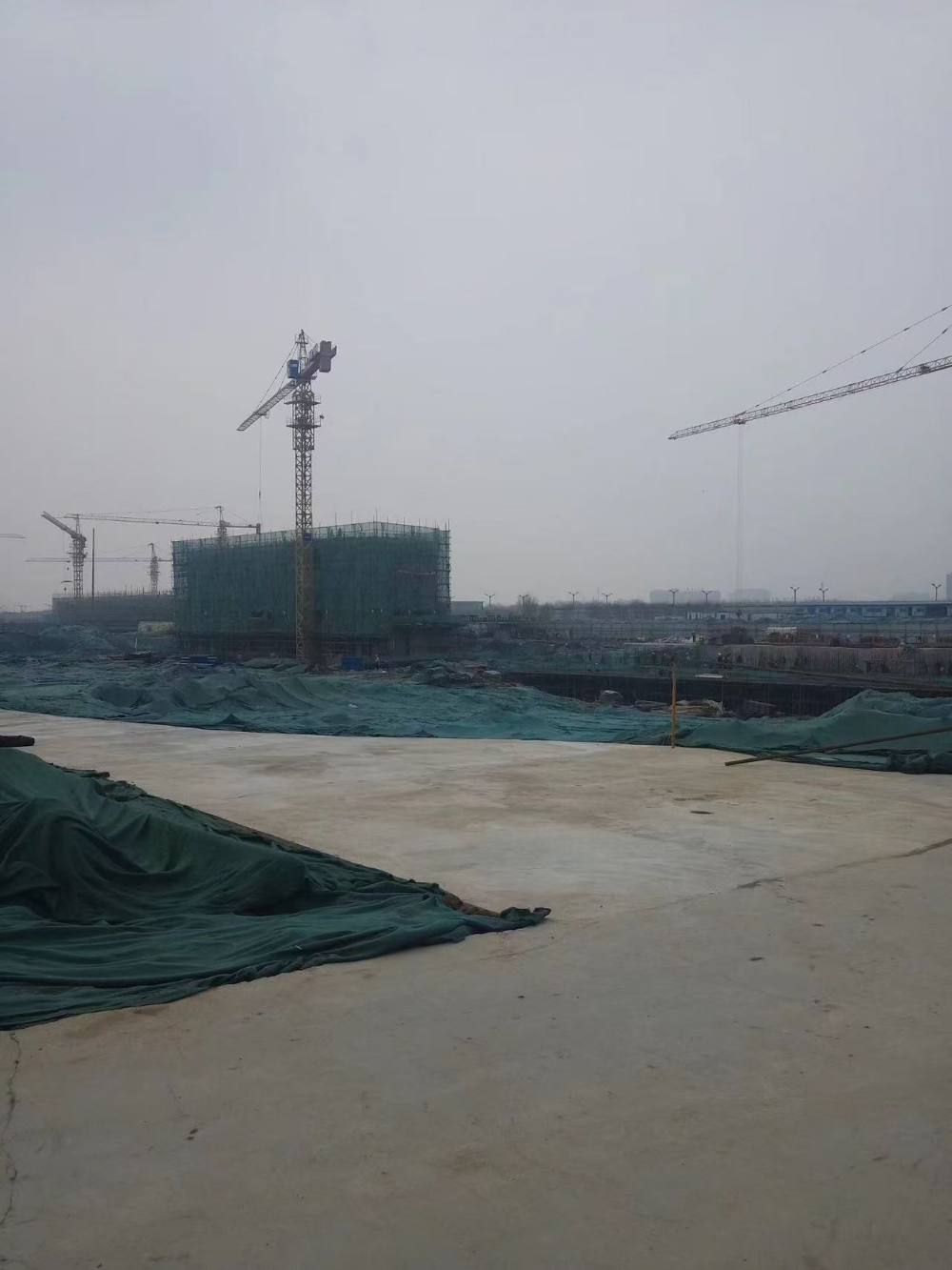 2026精选洛阳诚信的钢筋工施工队哪家强？这些常见问题...