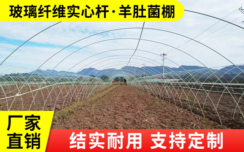 玻璃纤维杆拱棚支架哪家可靠？2026年陕西市场批发厂家...