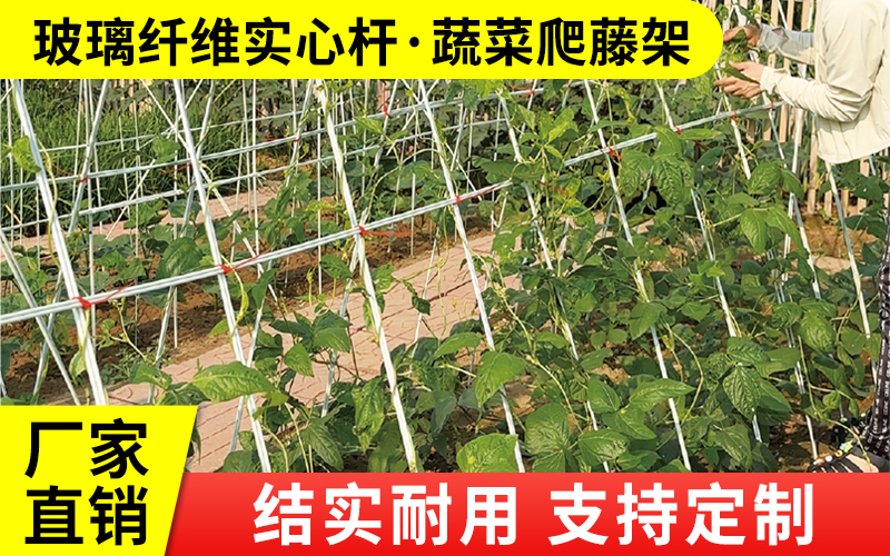 实心16.jpg