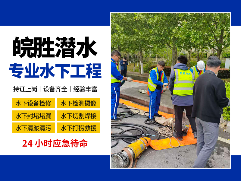 画板 3.png